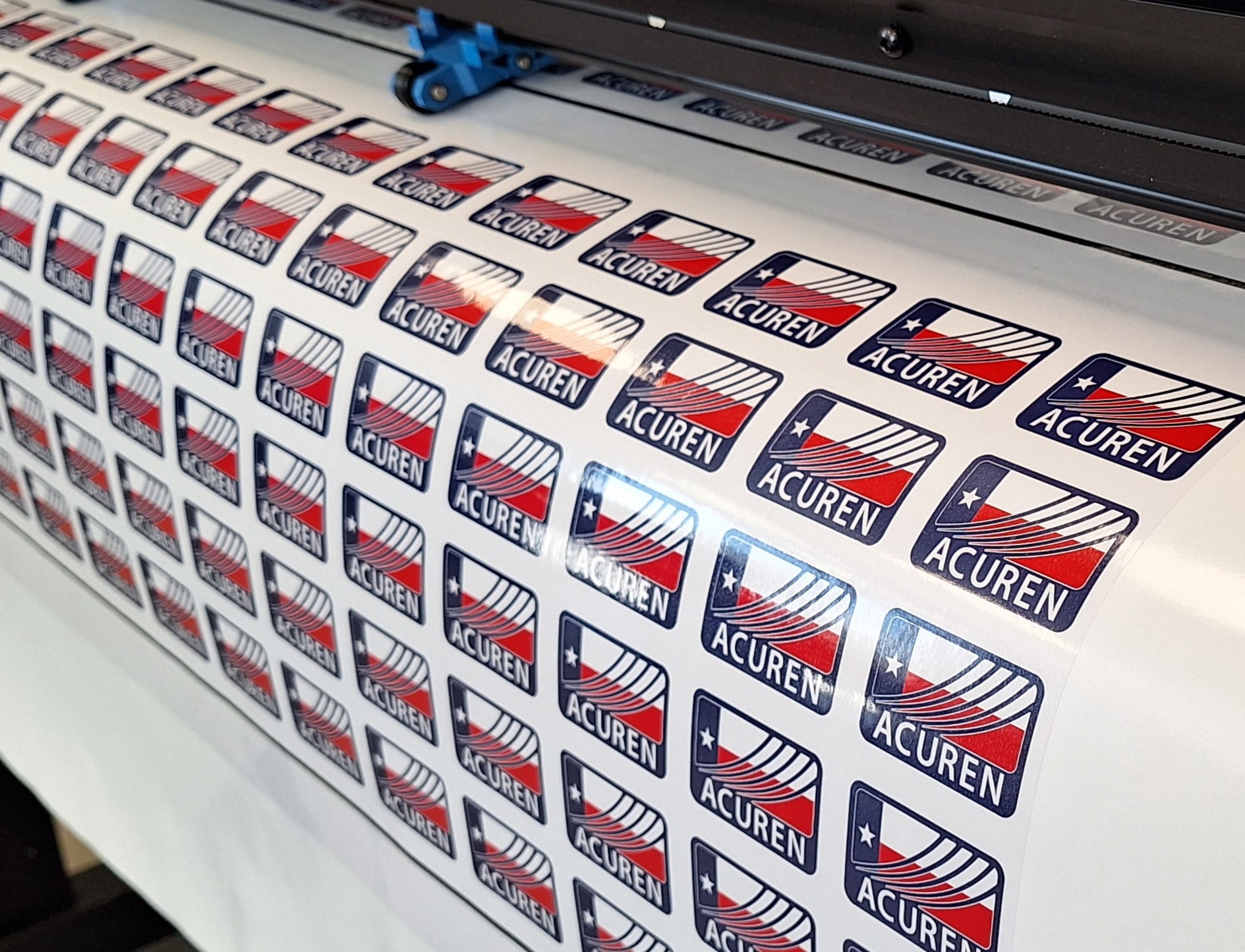 Window Graphics & Decals